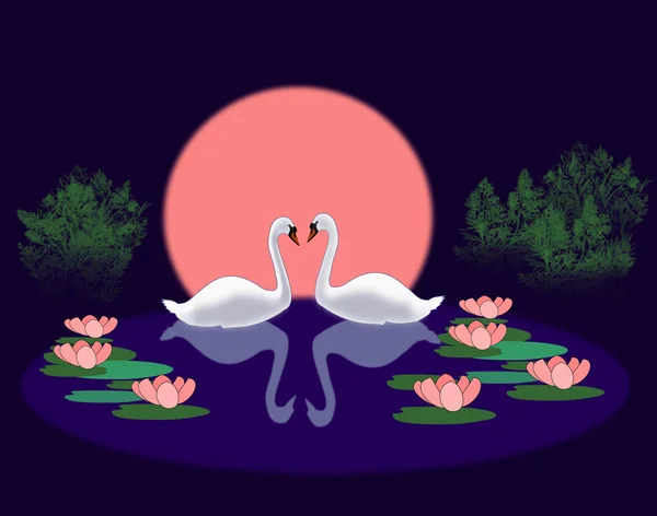 Swans in a Lily Pond — Stock Photo, Image