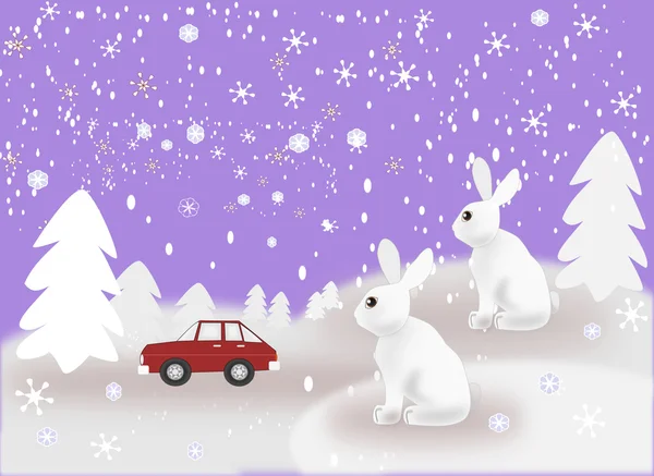 Bil och kaniner i snöiga väder — Stockfoto