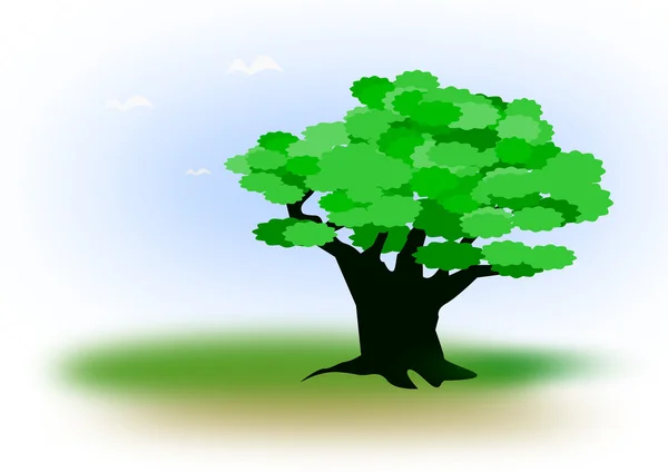 Одинокое зелёное дерево — стоковое фото