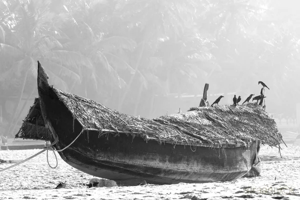 Fishing boat on the beach against jungle background. Black and white photo — Stock Photo, Image