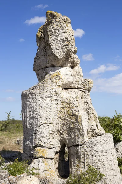 Унікальні природні Roc Pobiti Kamani (стоять каменів неоліту, "кам'яний ліс") — стокове фото