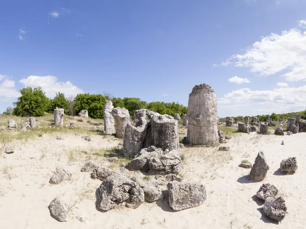 Pobiti Kamani (pietre permanente, pădure de piatră) Roc natural unic — Fotografie, imagine de stoc