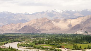 Thikse Manastırı Himalayalar '