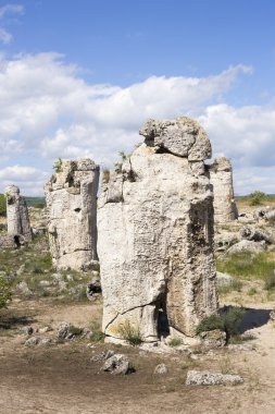 Pobiti Kamani (duran taşlar, taş orman) benzersiz doğal Roc