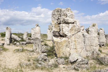 Pobiti Kamani (duran taşlar, taş orman) benzersiz doğal Roc