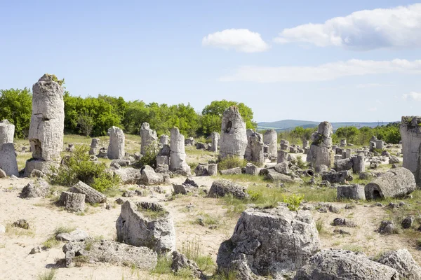 Panorama of Pobiti Kamani (Standing Stones, Stone Forest) Unique — Stock Photo, Image
