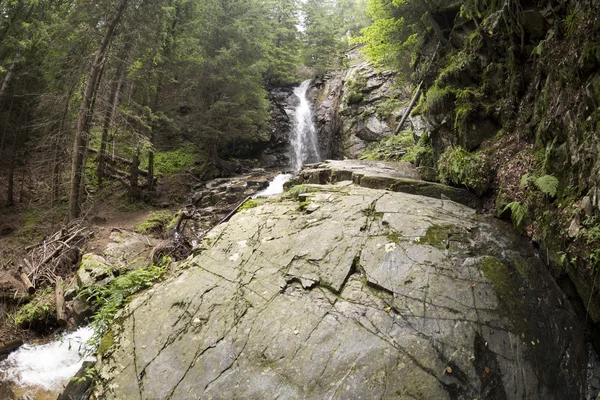 Waterval Saint geest en Spring in Rodopegebergte Mountain Rechtenvrije Stockfoto's