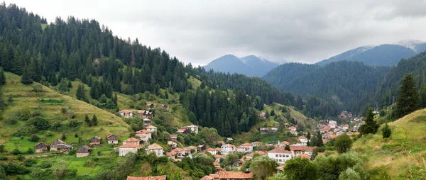 Rodop Dağları'nda çam ormanları ile çevrili köy Panoraması