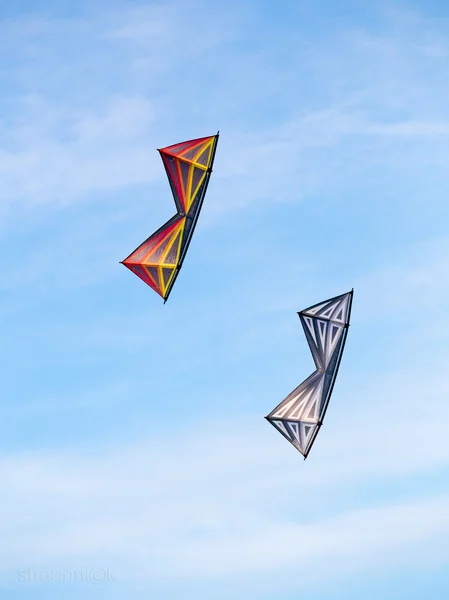 The pair of stunt kites perform aerobatics in the blue sunny summer sky — 스톡 사진