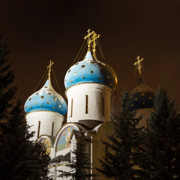 Trinity Lavra of varsayım katedral gece görünümü