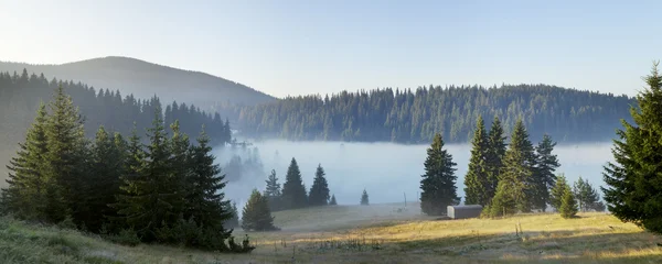 Forest lake bedekt met mist bij dageraad in de naaldhout bos in het Rodopegebergte Stockfoto