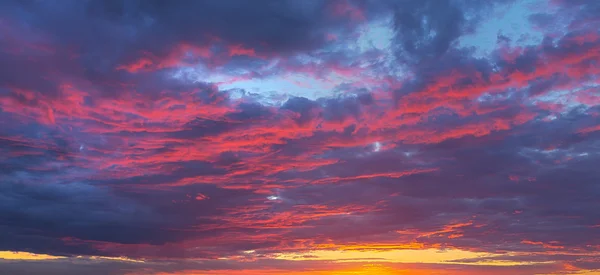 Fantastická hra barev a odstínů fialové, šarlatové zataženo sk Stock Fotografie