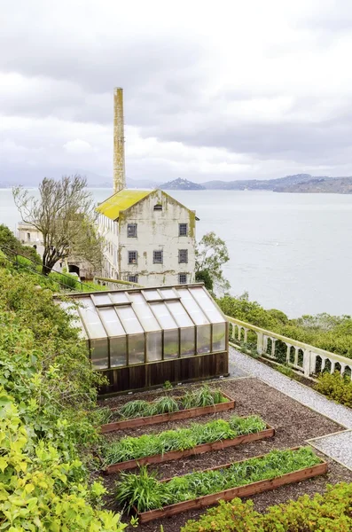 Alcatraz Garden & Power House, Сан-Франциско, Калифорния — стоковое фото