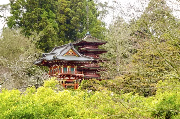Японский чайный сад — стоковое фото