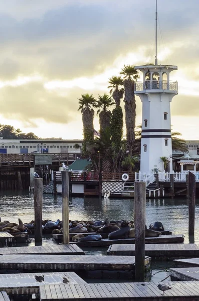 Pier 39, san francisco, Californië — Stok fotoğraf