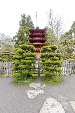 Japon çay Bahçesi, san francisco