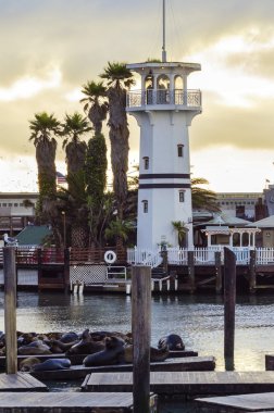 Pier 39, san francisco, Californië