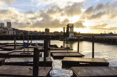 Pier 39, san francisco, Californië