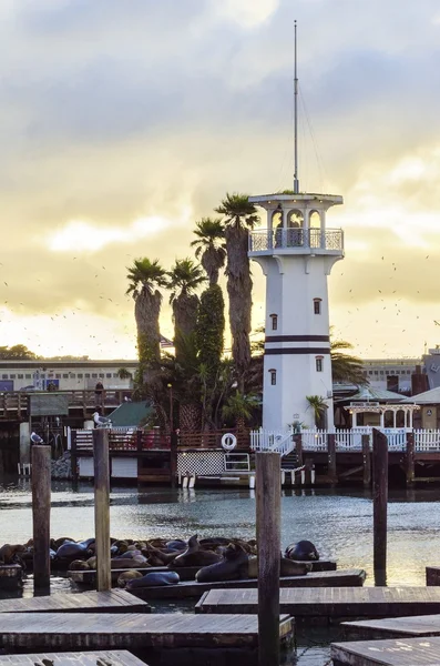 Pier 39, San Francisco, California — Zdjęcie stockowe