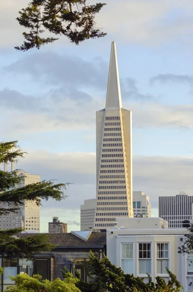 Transamerica Pyramid, San Francisco — Stock Photo, Image