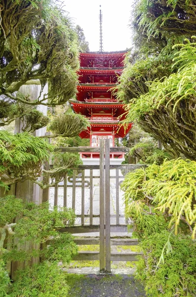 Jardín de té japonés, San Francisco —  Fotos de Stock