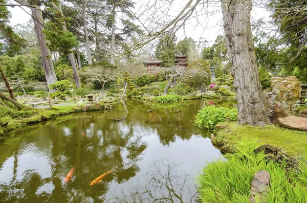 Jardín de té japonés, San Francisco —  Fotos de Stock