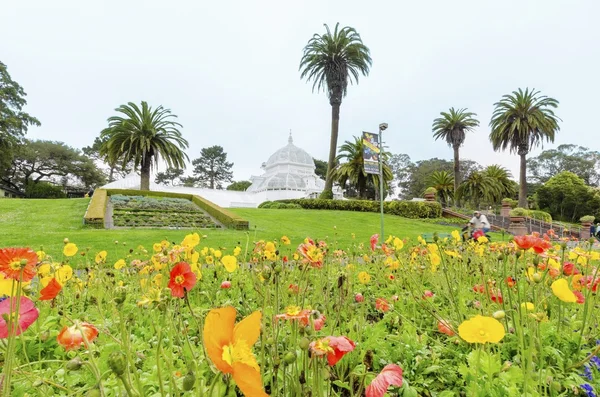 Conservatory of flowers, San Francisco — Stock Photo, Image