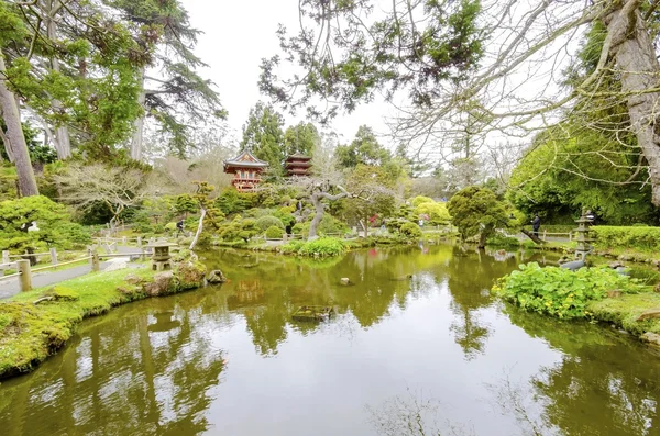 Jardín de té japonés, San Francisco —  Fotos de Stock