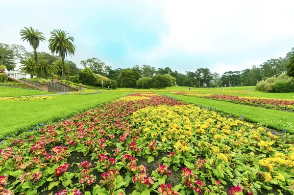 Conservatory of flowers, San Francisco