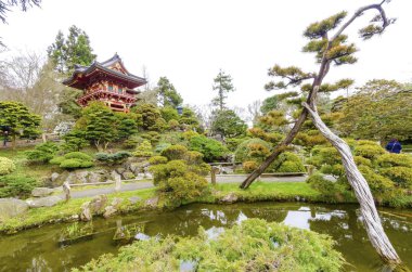 Japon çay Bahçesi, san francisco