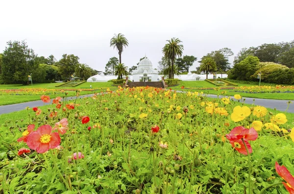 Vinterträdgården av blommor, san francisco — Stockfoto