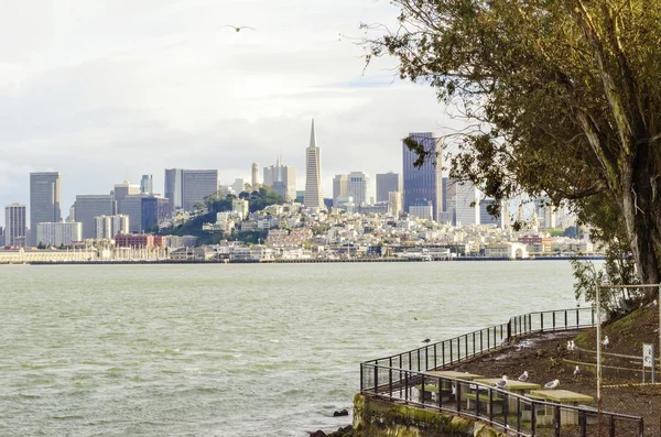 Сан-Франциско-Скайлайн — стоковое фото
