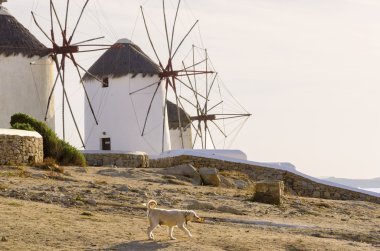 Mykonos yel değirmenleri, Chora, Yunanistan