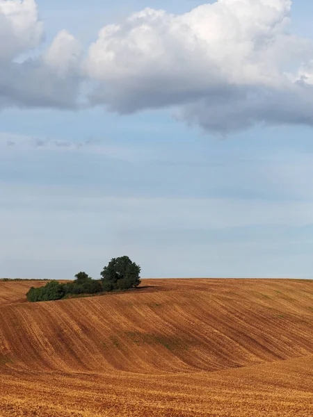 Rolling Fields Harvest Drawers Trees South Moravia Czech Republic — Stock fotografie