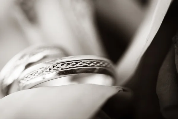 Anillos de boda — Foto de Stock