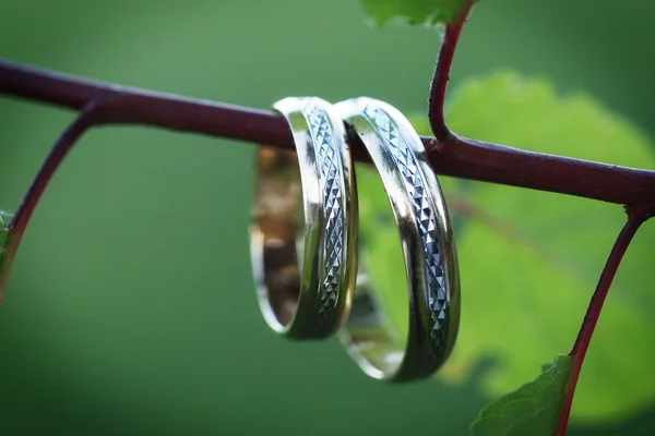 Wediing rings — Stock Photo, Image