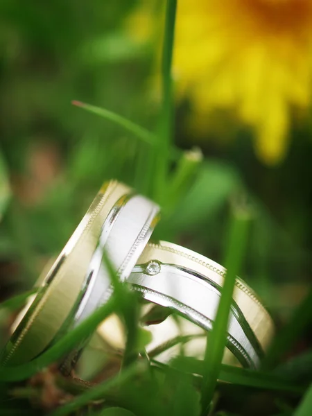 Boda naturaleza muerta — Foto de Stock