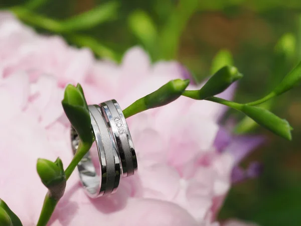 Wedding flower with rings — Stock Photo, Image