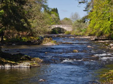 Köprünün arkasında çok su var. Alyth, Blairgowrie, İskoçya - 08 Mayıs 2017 İskoçya 'daki Reekie Linn Şelalesi' nin önündeki ağaçların arasında akan su.