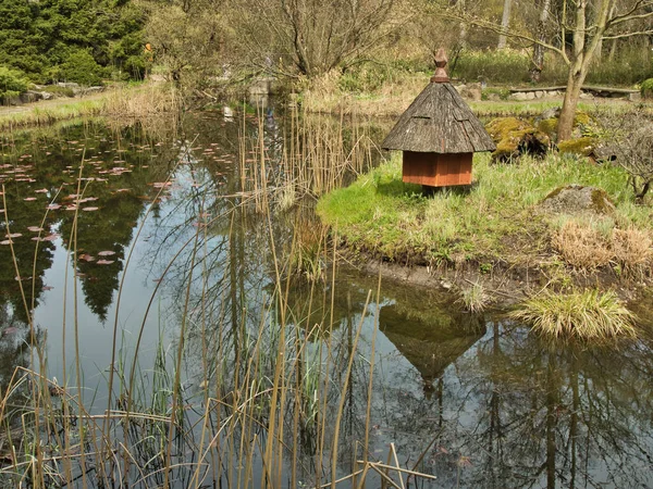 Rogow Polen April 2021 Blommande Blommor Och Växter Damm Byn — Stockfoto