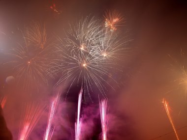 Yeni yıl deniz yıldızı.