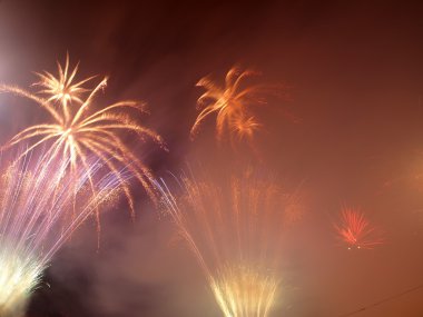 Yeni yıl deniz yıldızı.