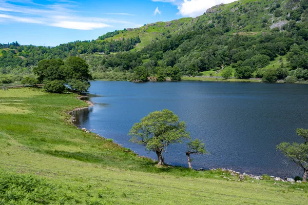 英語湖区のリダル水の岸にある木の景色 — ストック写真