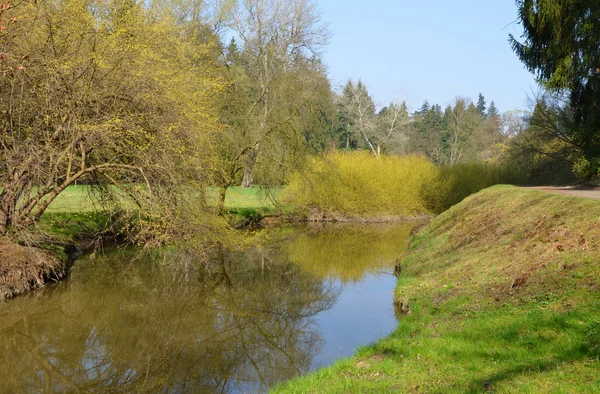 Meandering creek in the park — Stock Photo, Image