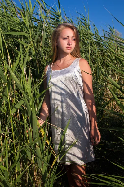 Rubia en un vestido gris —  Fotos de Stock