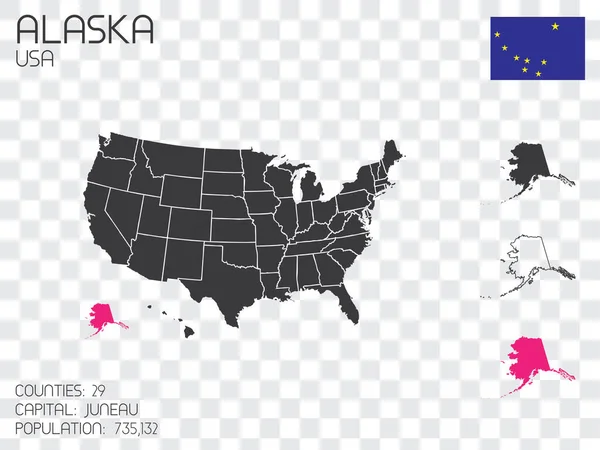 Verenigde Staten Van Amerika Illustratie Met Geselecteerde Staat Alaska — Stockvector