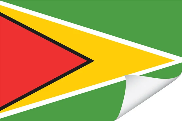 Bandera Ilustrada Del País Guyana — Archivo Imágenes Vectoriales