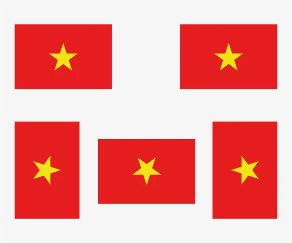 Illustrierte Landesflagge Die Vietnam Widerspiegelt Und Rotiert — Stockvektor