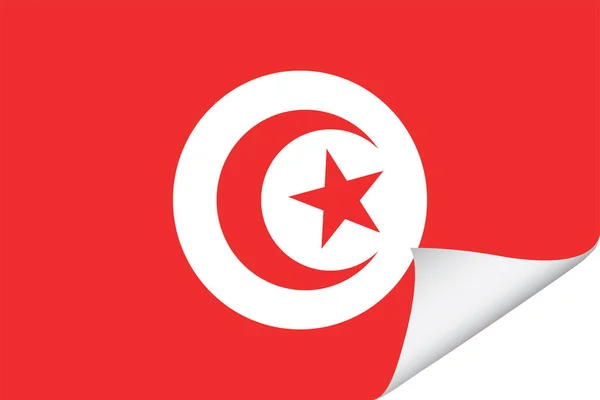 Εικονογραφημένη Σημαία Για Χώρα Της Γκάμπια — Διανυσματικό Αρχείο