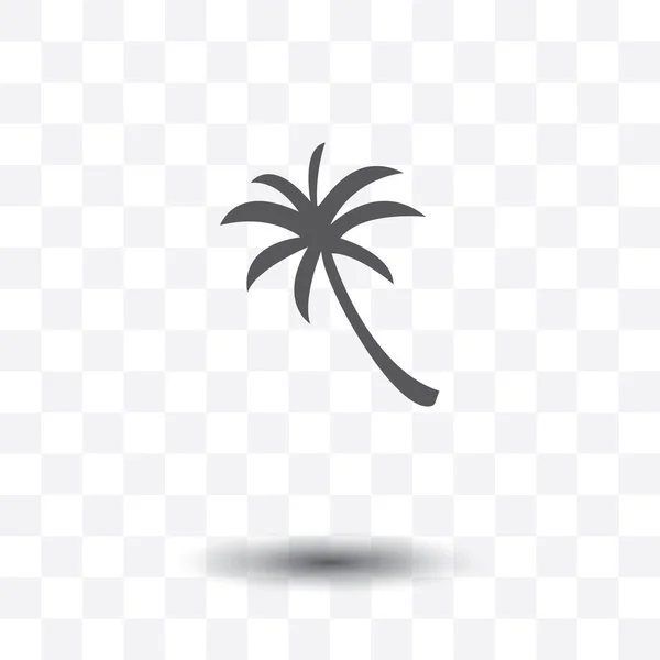 Palmera Icono Vector Aislado Sobre Fondo Transparente — Vector de stock